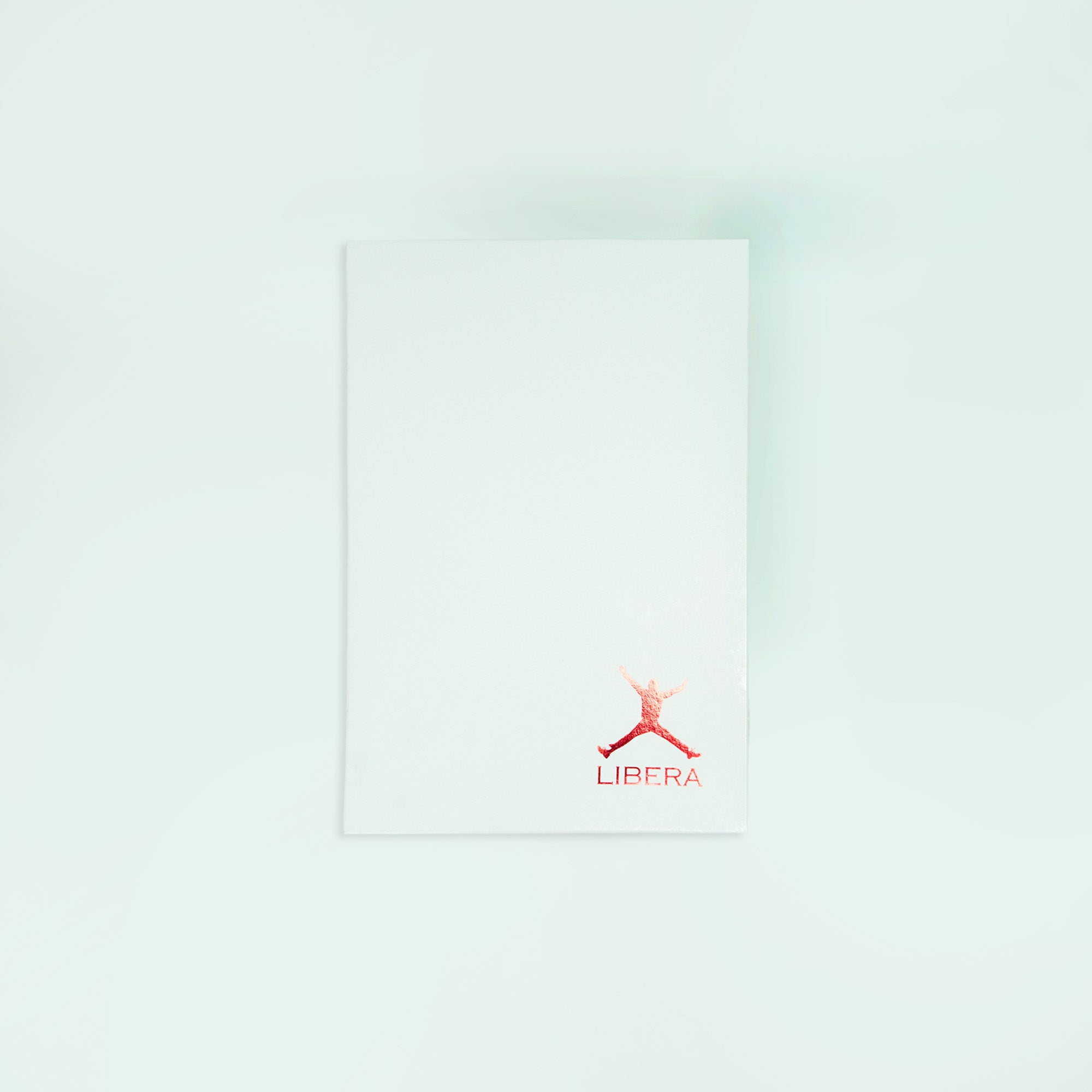 Two Piece Gift Box - Shirts