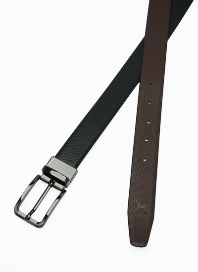 Ladies Formal Standard Lock Belt - Black | Coffee Brown